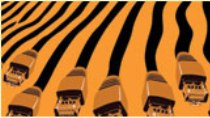 Riding Asia's digital tiger